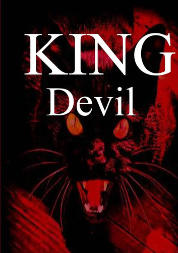 Devil king taschenbuch - king,